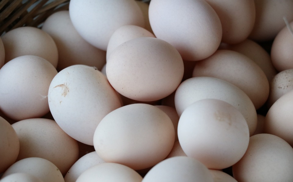 В Оренбуржье яйца подорожали до 80 рублей