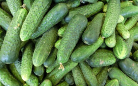 В Оренбуржье подорожали огурцы и курица