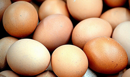 В Оренбурге яйца подешевели на 1%