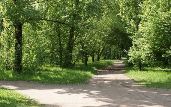 В оренбургском Новочеркасске городской парк благоустроили за 8 млн рублей