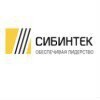 Web-разработчик 