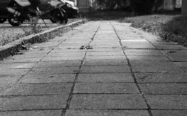 Бузулук получит грант на благоустройство улицы Ленина