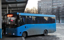 Власти Оренбурга из-за роста цен закупят на 30% меньше автобусов