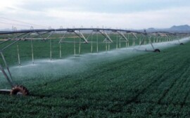 Оренбургская область получит 74,3 млн рублей на мелиорацию 