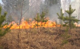 МЧС: В Оренбуржье ожидаются 1, 2 и 3 классы пожарной опасности