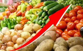 В Оренбуржье подорожала капуста и подешевели помидоры