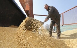 В Оренбуржье проверяют получивших госсубсидии аграриев