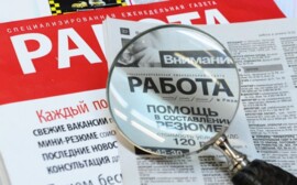 В Оренбурге уровень безработицы составил 0,65%