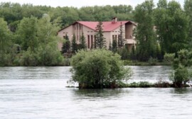Жители Оренбурга пожаловались на снос обкомовской дачи