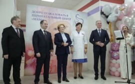 В ПФО выполнили поручение Президента РФ по строительству перинатальных центров