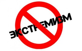 Берг призвал устранить хаос в профилактике экстремизма