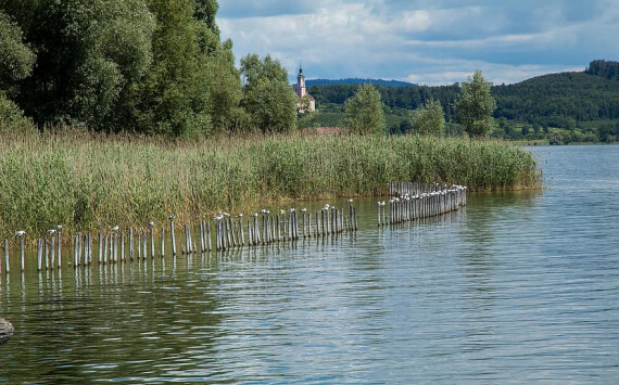 Роспотребнадзор Оренбургской области проверил состояние водоёмов в регионе