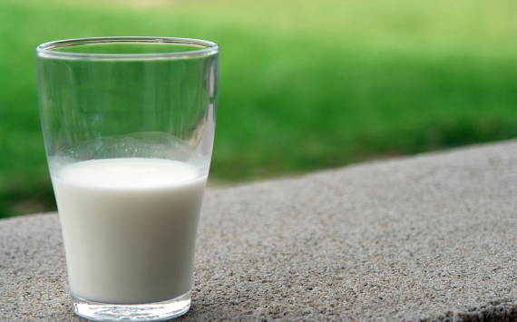 В Оренбуржье субсидируют реализованное в регионе молоко