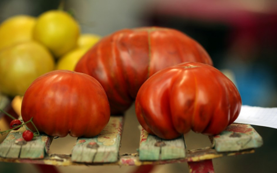 В Оренбурге за октябрь подорожали мясо и помидоры